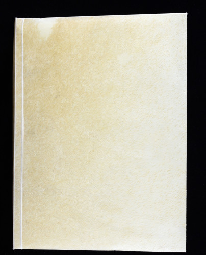 Liber canonis